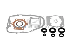 Engine Gasket Kit Set with Oil Seals for Yamaha Blaster YFS200 1988-2006