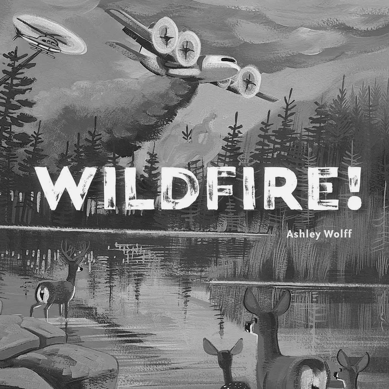 

Ashley WolffWildfire Ashley Wolff Beach Lane Books 9781534487734 Book