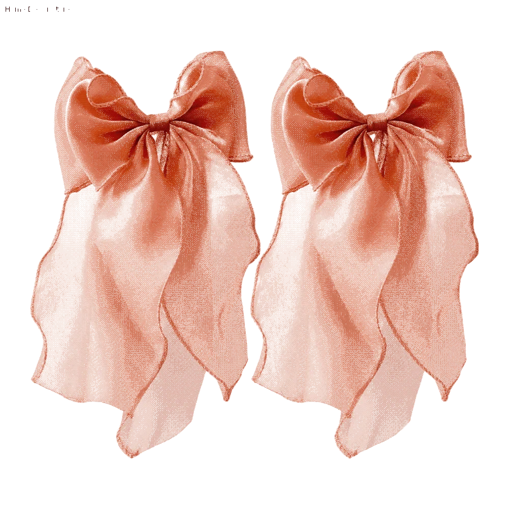 2PCS Modern Mesh Shiny Bow Curtain Tie Non Drilled Home Decor Curtain Holders Decorative Rope French Style Curtain Clips Party