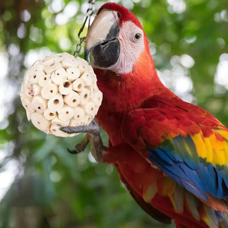 Parrot Chewing Toy Ball Chew Shred Foraging Bird Cage Accessories For Parakeet Parrotlet Lovebird Budgies Conure Cockatiel