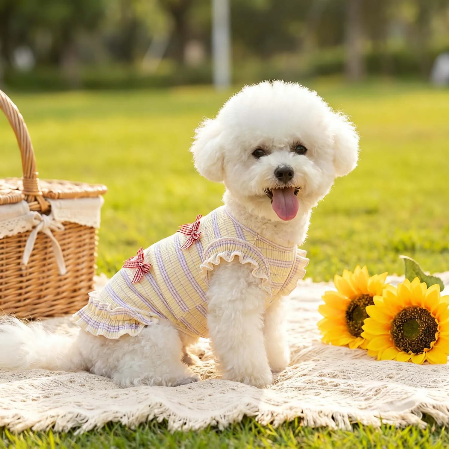 3D Mesh-Hundekostüm mit Schleifen- und Streifendekoration - mit Rüschen, Geeignet für Kleine und Mittelgroße Hunde – Detail 4