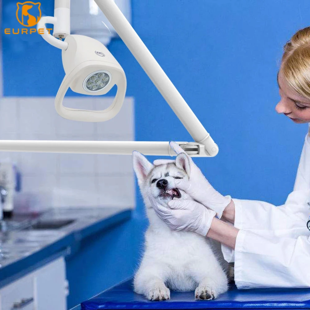 EURPET LED 3W*7 Operation Lamp Pet Hospital Use Veterinary Light Wall Mounted LED Veterinary Clinic Light