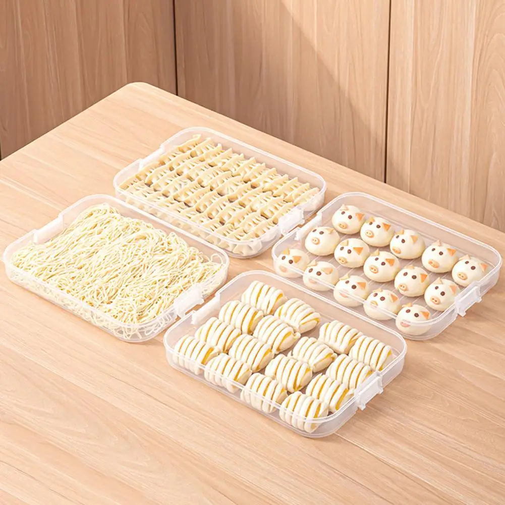 Layered Storage Box Capacity Dumpling Storage Box with Portable Handle Airtight Lid Organize Preserve Wontons for Refrigerator