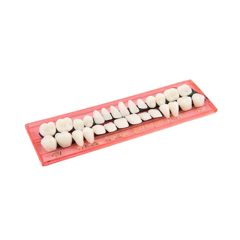 Dentadura de resina sintética para Halloween