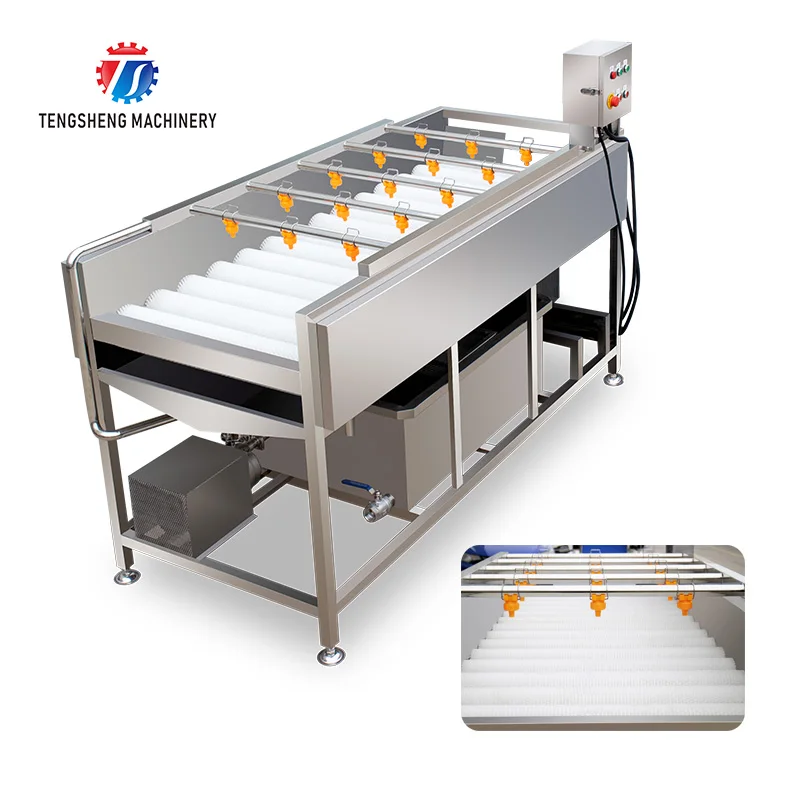 Multifunction Vegetable Tomato Parallel Roller Cleaning Machine High Pressure Spray Fruit Washing Machine TS-M100