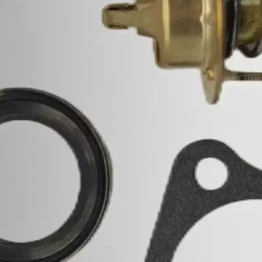 Termostato motore fuoribordo per auto per Mercurio per motori fuoribordo Per 90HP 1993-95 Per 95HP 1996-97 Per 120HP 1995 1999 2000