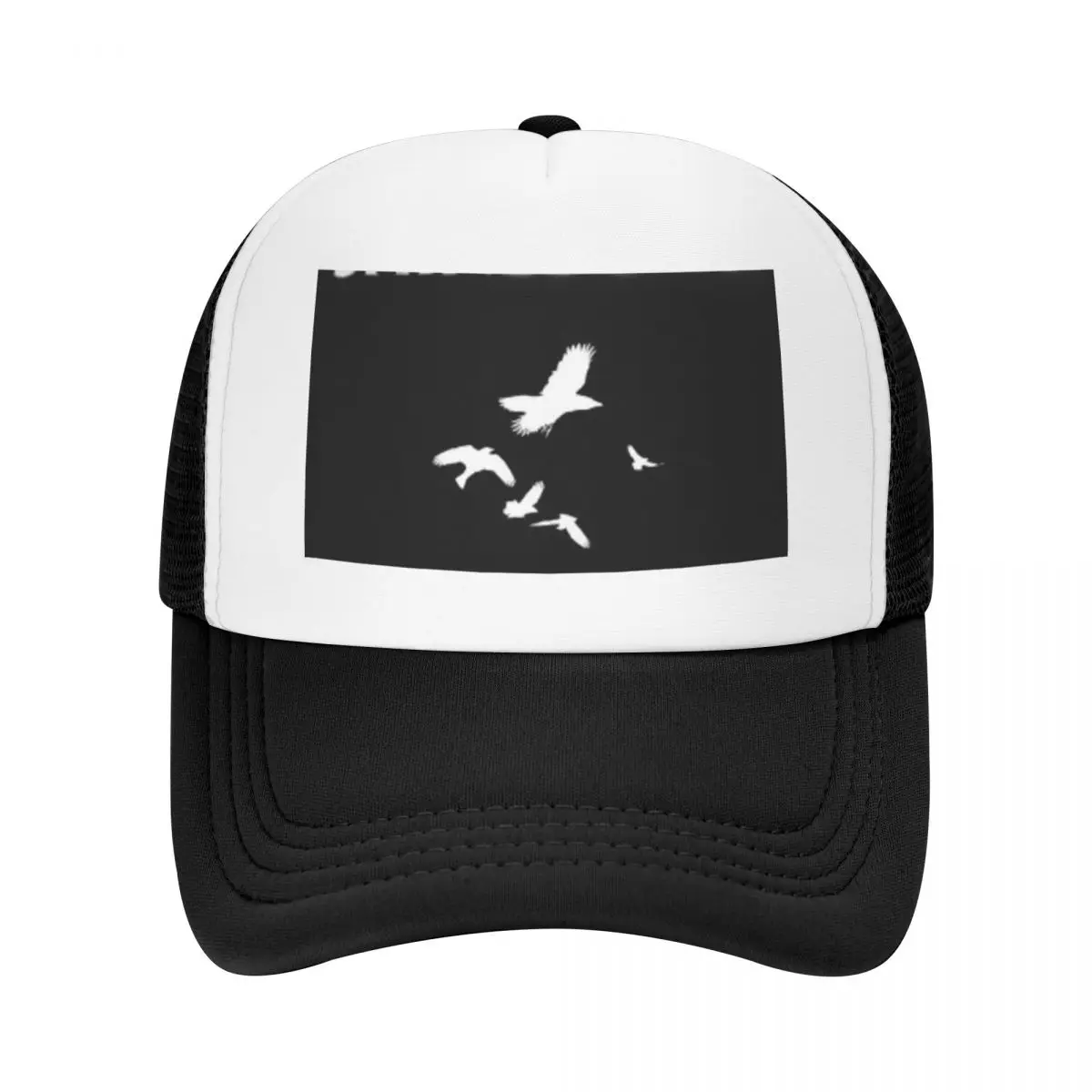 lima lglloy down shine band lglloy burung the putih sound terbang of di madness langit hitam Baseball Cap