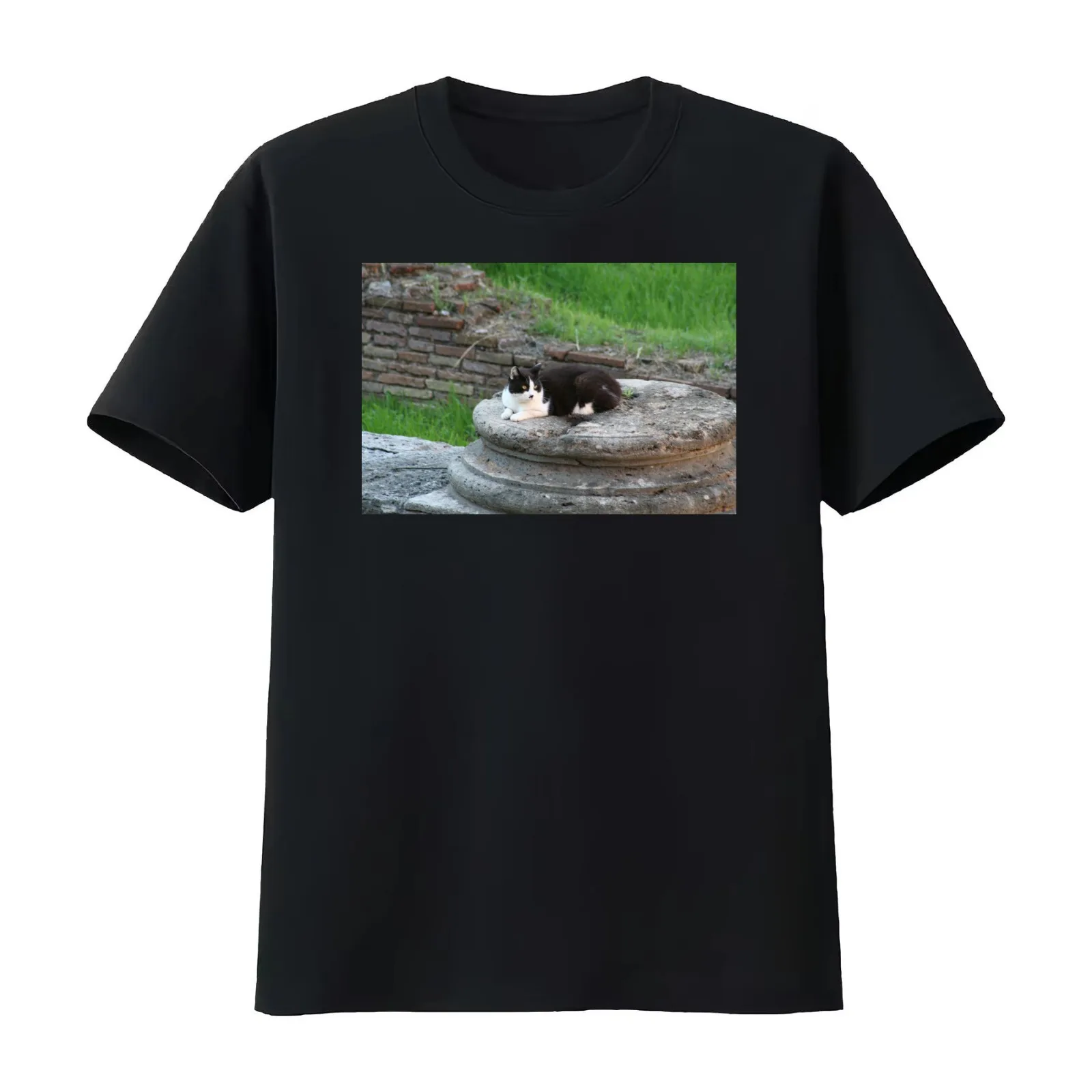Archaeologist Cat Resting on a Roman Column T-Shirt Summer Casual Cotton Tee Oversized Streetwear Tops Vintage Graphic Print