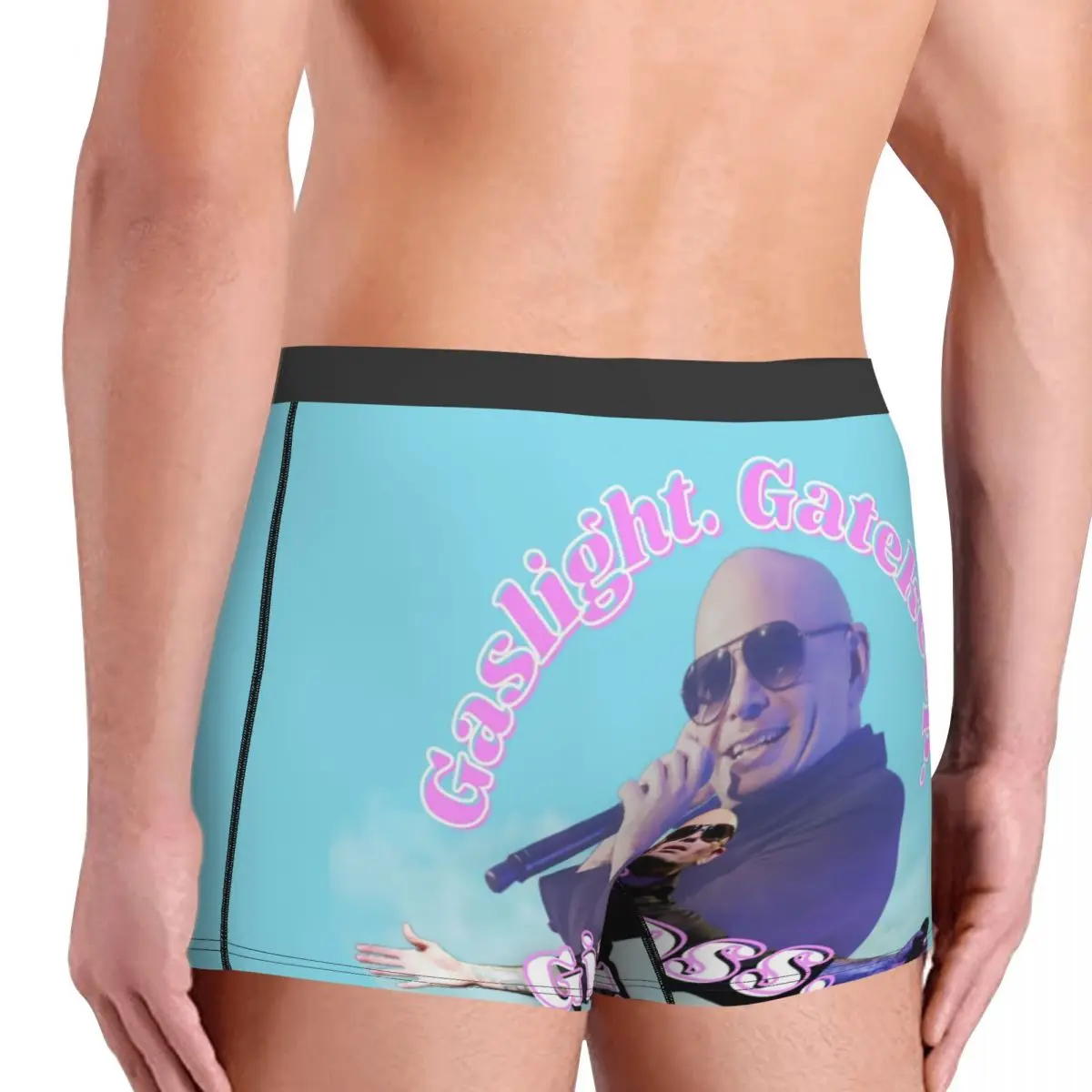 Mr Worldwide Says To Girlboss Underwear Men Sexy Printed Customized Pitbull Boxer Shorts Panties