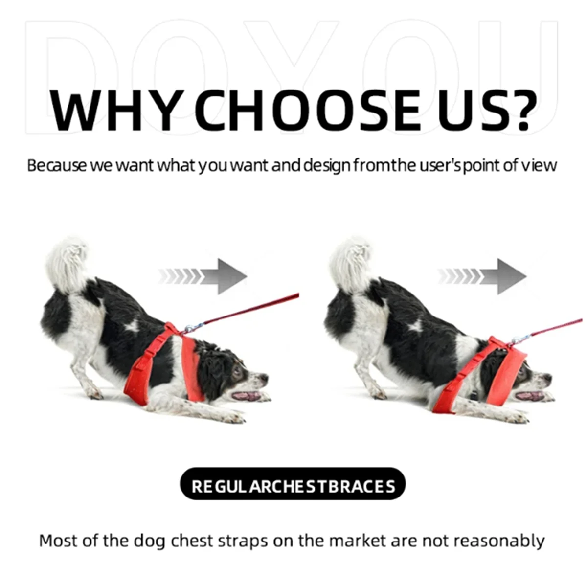 【Ultimo spazio!】Rimbracatura per cani