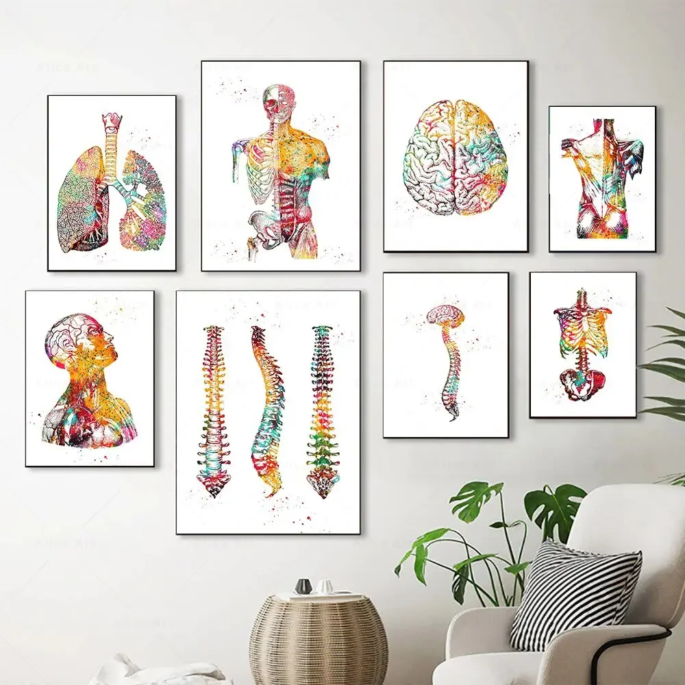 Skandinavische einfache Wandkunst, menschliche Anatomie, Wirbelsäule, Herz, Gehirnzähne, HD-Leinwand-Poster, Drucke, Zuhause, Schlafzimmer, Wohnzimmer, Dekoration