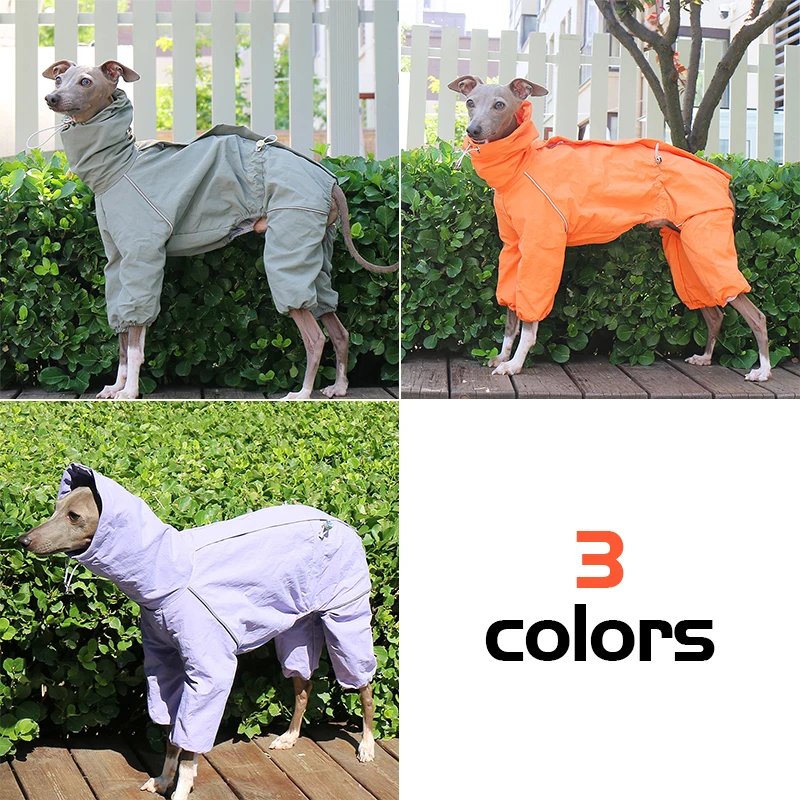 

Italian Greyhound Raincoat Autumn And Winter Outdoor Pet Jacket Whippet Windproof And Rainproof Dog Clothes With Zipper On Back