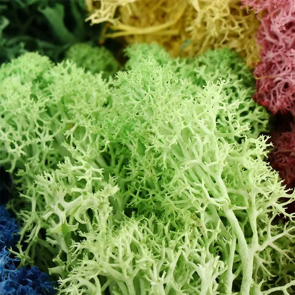 Grass DIY Mini Landscape Living Room Fake Flowers Green Plants Moss Artificial Plants Garden Decoration Eternal Moss
