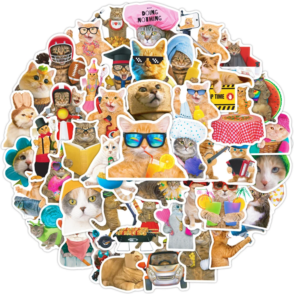 10/30/50 Stück Klassische Lustige Katzen-MEME-Graffiti-Aufkleber Cartoon-Spielzeug-Dekor DIY Skateboard Gitarre Laptop Niedliche Tier-Sticker als Geschenk