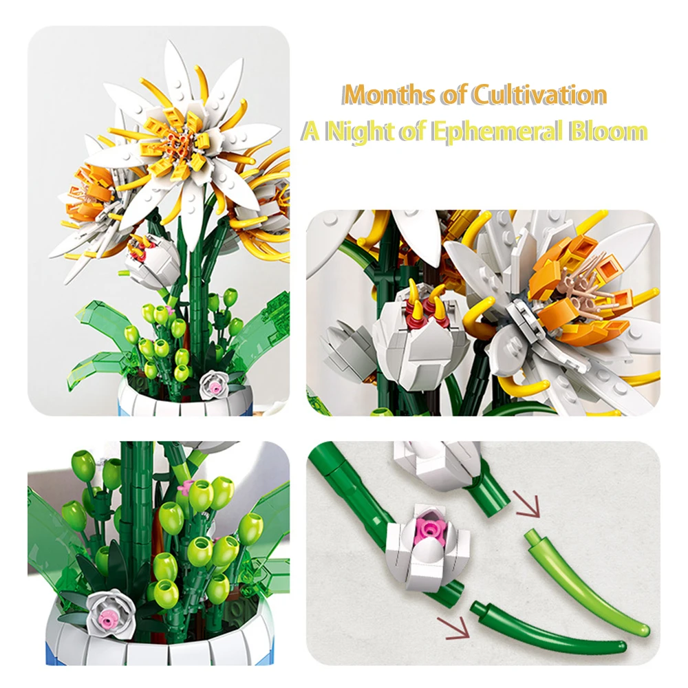 Epiphyllum 화분 장식 빌딩 블록 장난감-소녀를 위한 완벽한 휴일 선물, 선물 제공, 가정 장식 및 기분 향상에 이상적