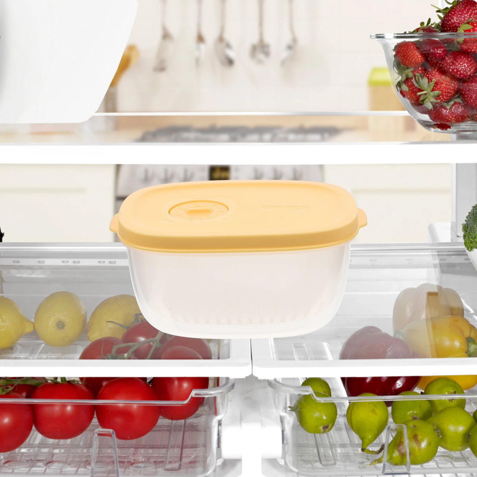 

Garlic Storage Box Freezer Containers Vegetable Boxes Reusable Food Preservation Plastic Refrigerator Safe Sealing Crisper Lid