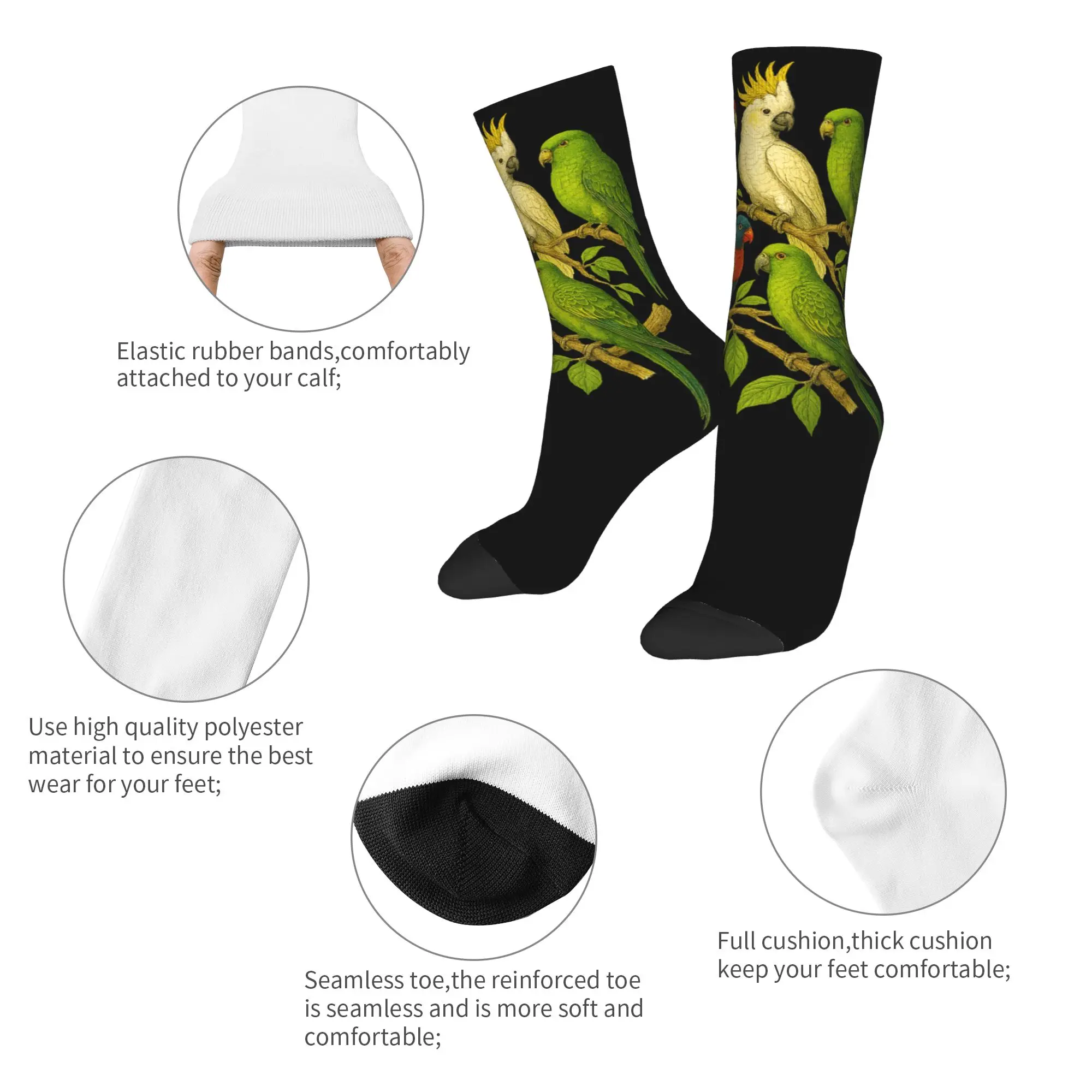 Parrots Bird Guide Different Parrot Species of The World Pet Socks Men's Women's Polyester Fashion  Socks Novelty Socks Gift