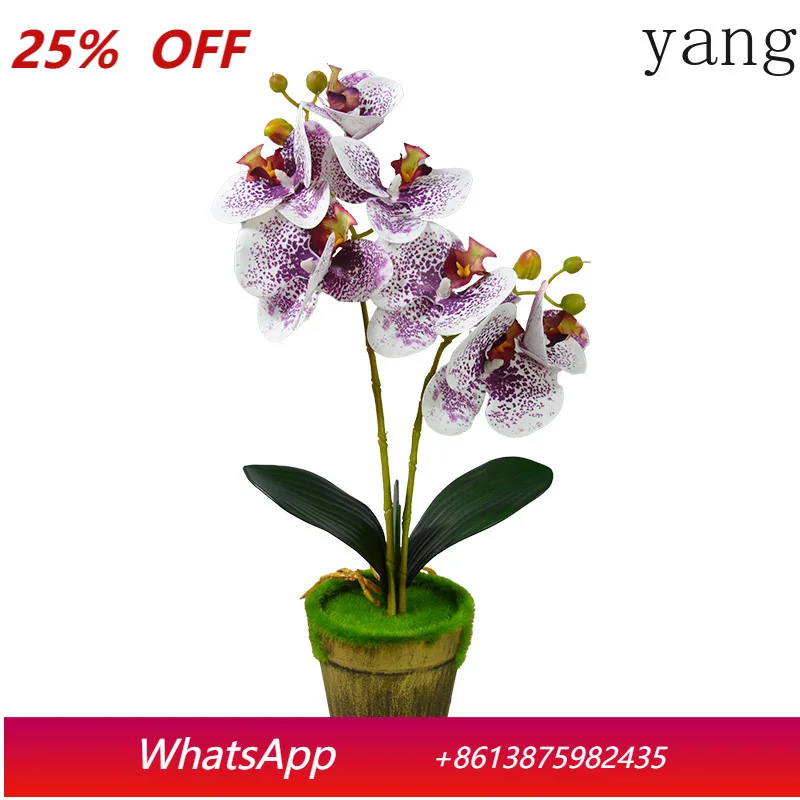 CX Phalaenopsis Bonsai Simulation Flower Decoration Bouquet 3D Phalaenopsis Home Coffee Table Decoration