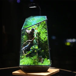 Micro Landscape Planter Moss Rainforest Tank Geometric Glass Flower Room Irregular Ecological Vase Succulent Water Plant Vase