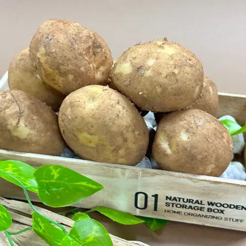 강원도 평창 햇감자 수미 두백 하지 감자 상-대 사이즈 5kg (50-90g)