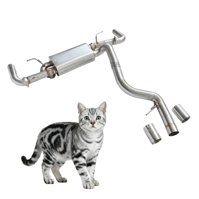 Catback 330I G20 B48 2.0T 2020-2024 System Muffler Valvetronic Exhaust Pipe