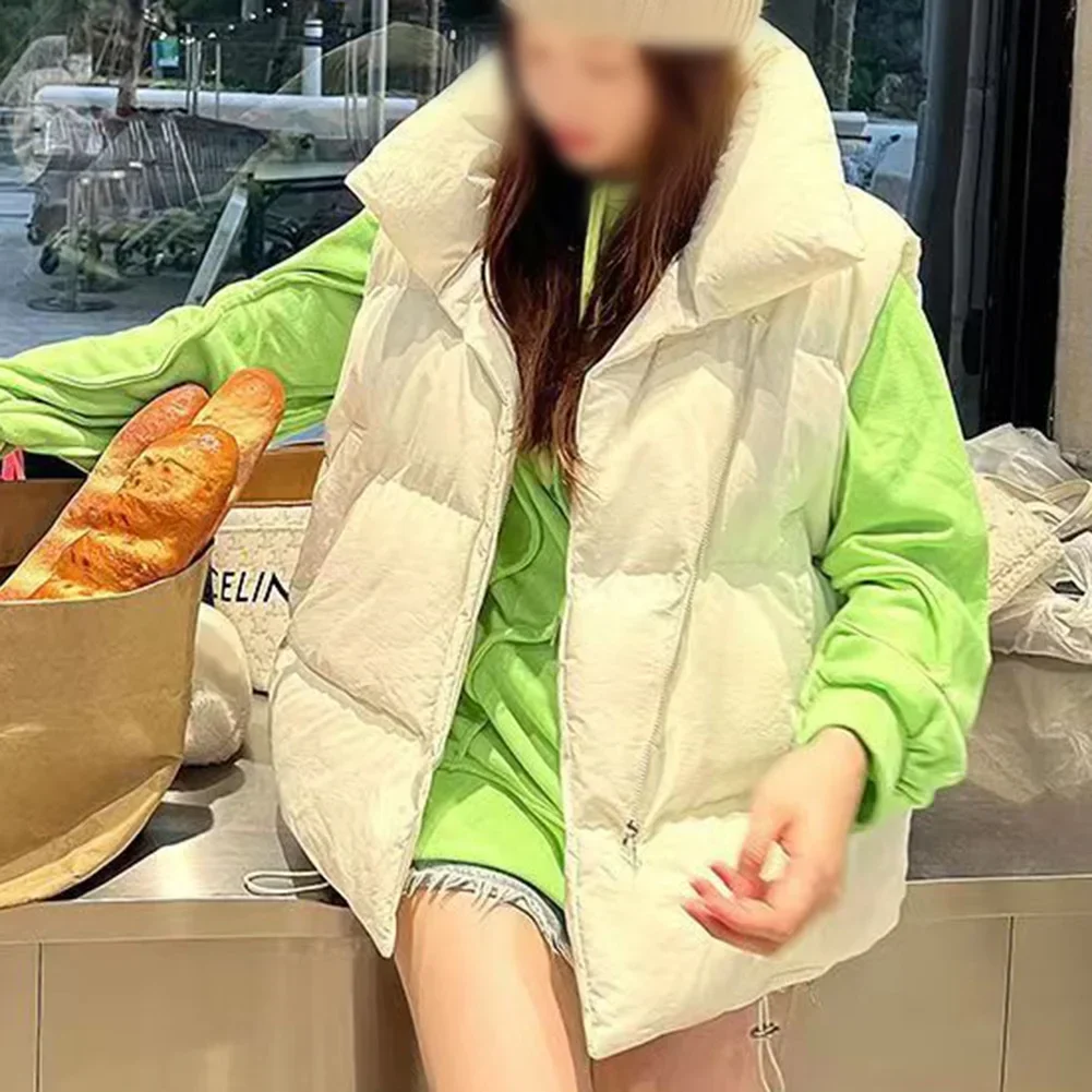 Elegant Stand Collar Outerwear Autumnwear Casual Outerwear L M Autumn Fashion Brand New Condition Elegant Style