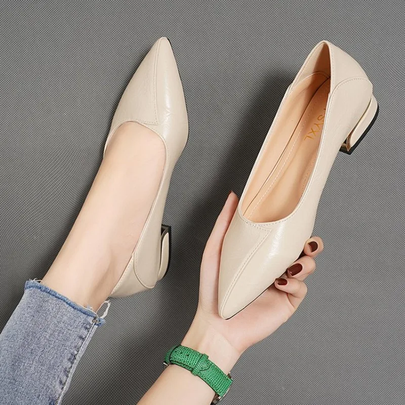 2026 Frühling und Herbst Neue Spitze Pumps für Damen mit Dickem Absatz und Flachem Schaft Professionelle Allround-Damenschuhe – Detail 9