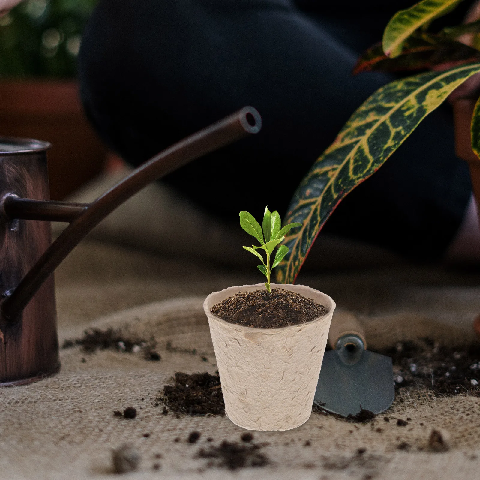 

100Pcs Organic Biodegradable Nursery Cups Starter Peat Pots Seedling Germination Trays Degradable Gardening Pots