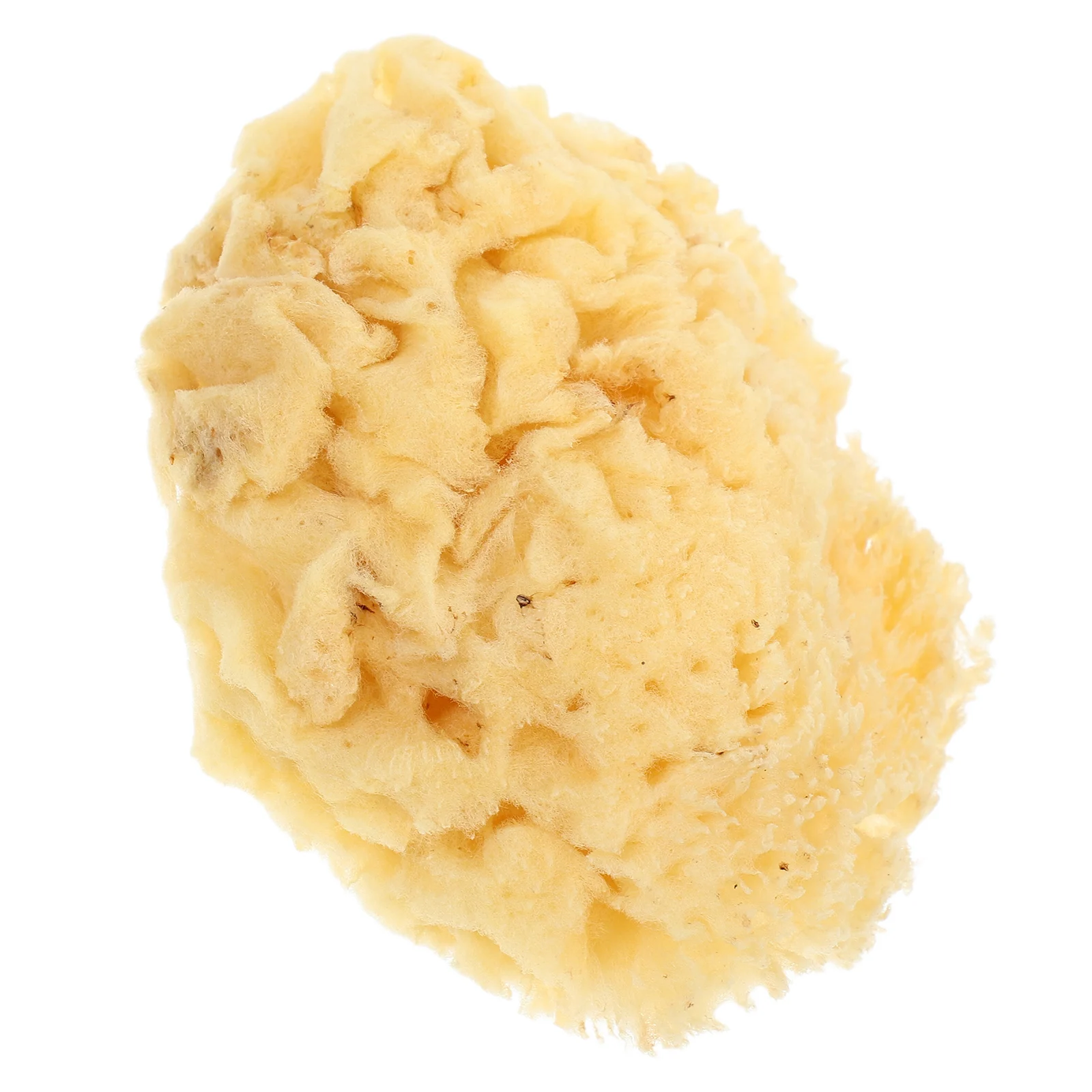 Natural Sea Sponge 2.0-2.5 Inch Soft Durable High Water Absorption For Watercolor Acrylic Painting Diy Texture Art Kids