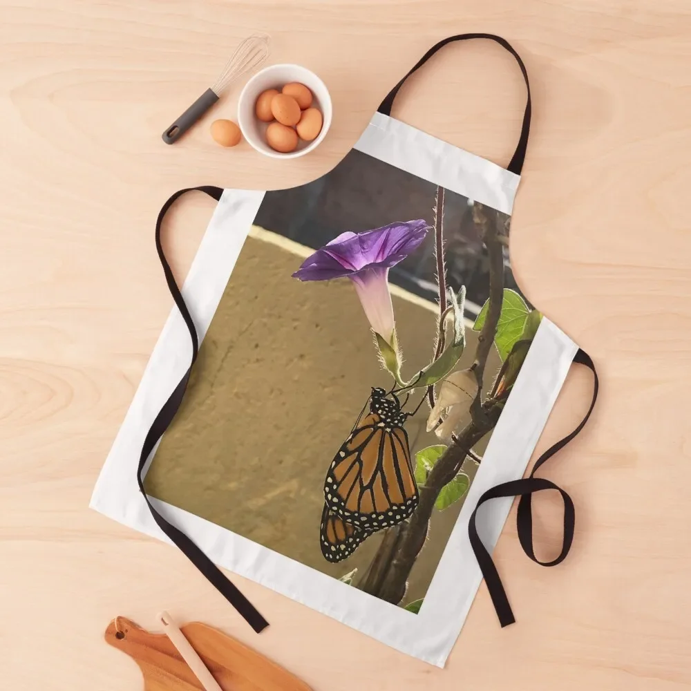 

Morning Glories Apron House Things For Home And Kitchen Smock for hairdressing Apron