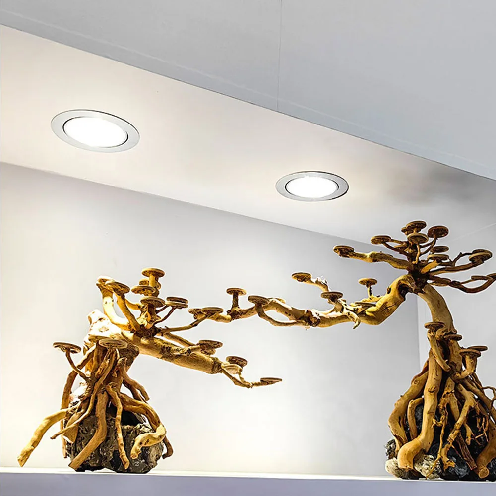 50 قطعة خزان حوض السمك المواد الخام أقراص قشرة جوز الهند نموذج لوازم نماذج رقاقة جوز الهند المستديرة