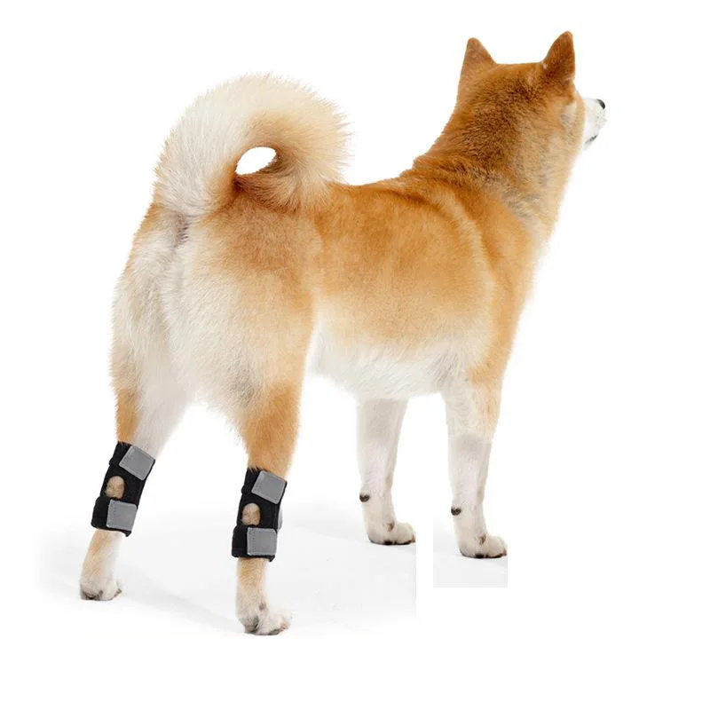 Pet Dog Leg Guard Joint Support Strip Knee Patella Protector Rehabilitation Aid for Cats Ligament Joint Dislocation
