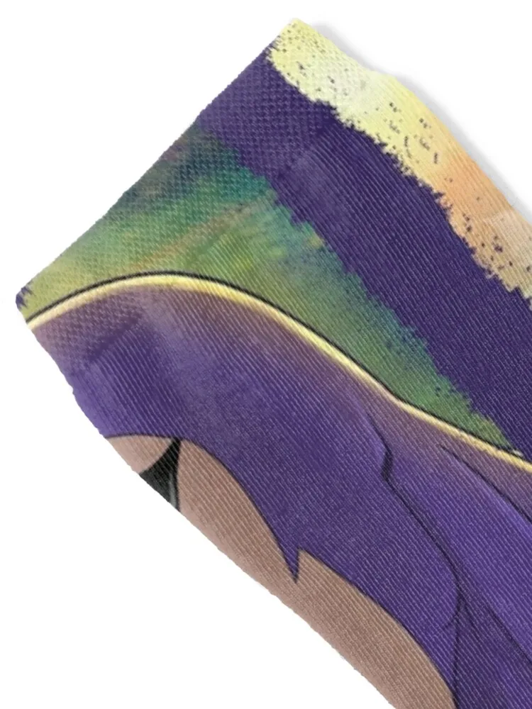 The Phantom! Socks luxury funny gift Heating sock Novelties Socks Male Women's