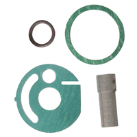 Diesel Heater Burner Gaskets Strainer Kit For Eberspacher Hydronic D5WZ D5WS D3WZ B4WSC 12V 24V car accessories