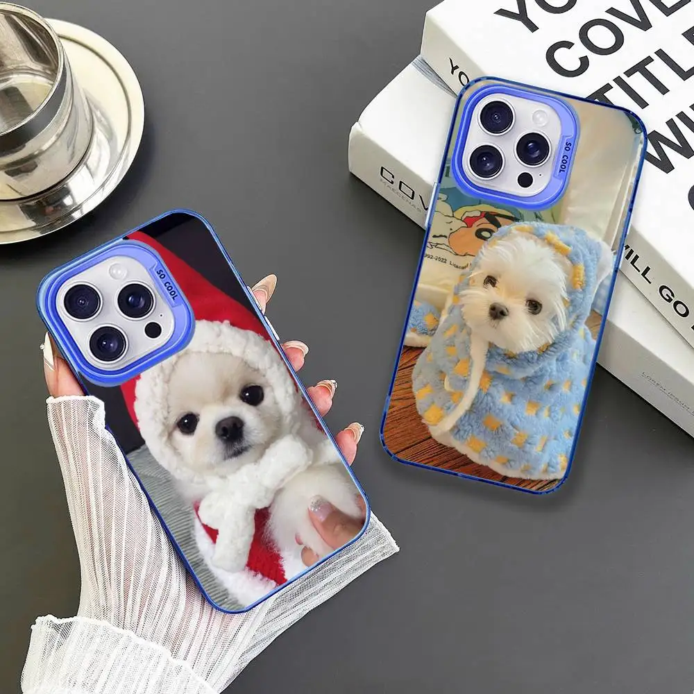 

Soft And Cute Pomeranian Dog Phone Case For iPhone 16,15,14,13,12,11,Mini,Pro,MAX Blue Matte Shockproof Cover