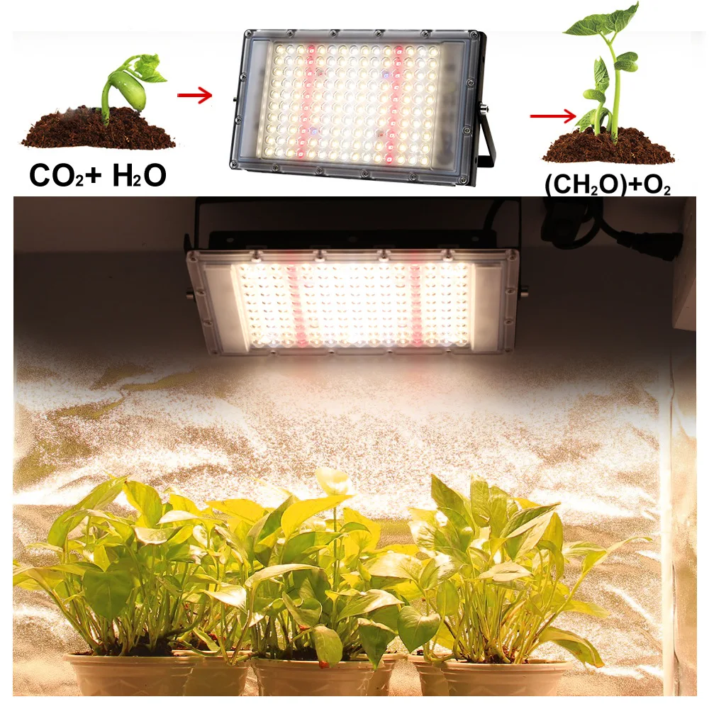 Luz do sol hidropônico cresce a luz, Espectro completo, 380-840nm, 100W, 300W, Phyto Lâmpada para Estufa, Semente de flor cresce iluminação, 220V