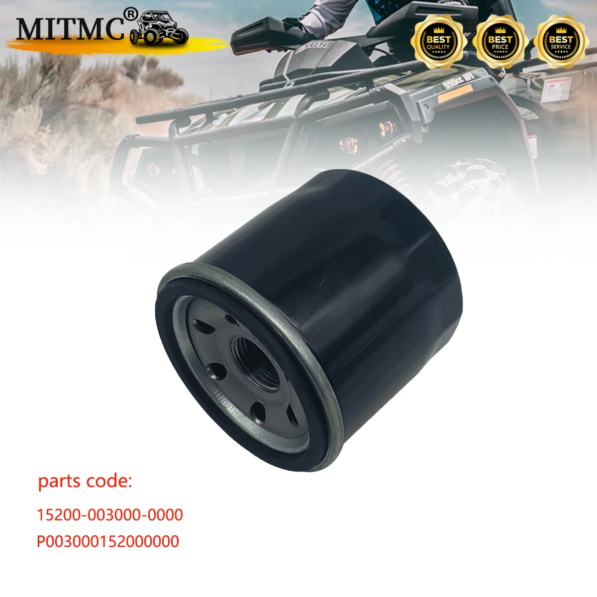 

Oil Filter For HiSun FORGE VECTOR STRIKE TACTIC 400 450 550 700 750 ATV UTV 15200-003000-0000 P003000152000000