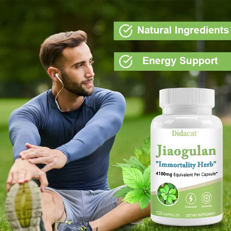 Jiaogulan  Antioxidants, Metabolism, Mitochondrial Support, Energy Levels, Focus