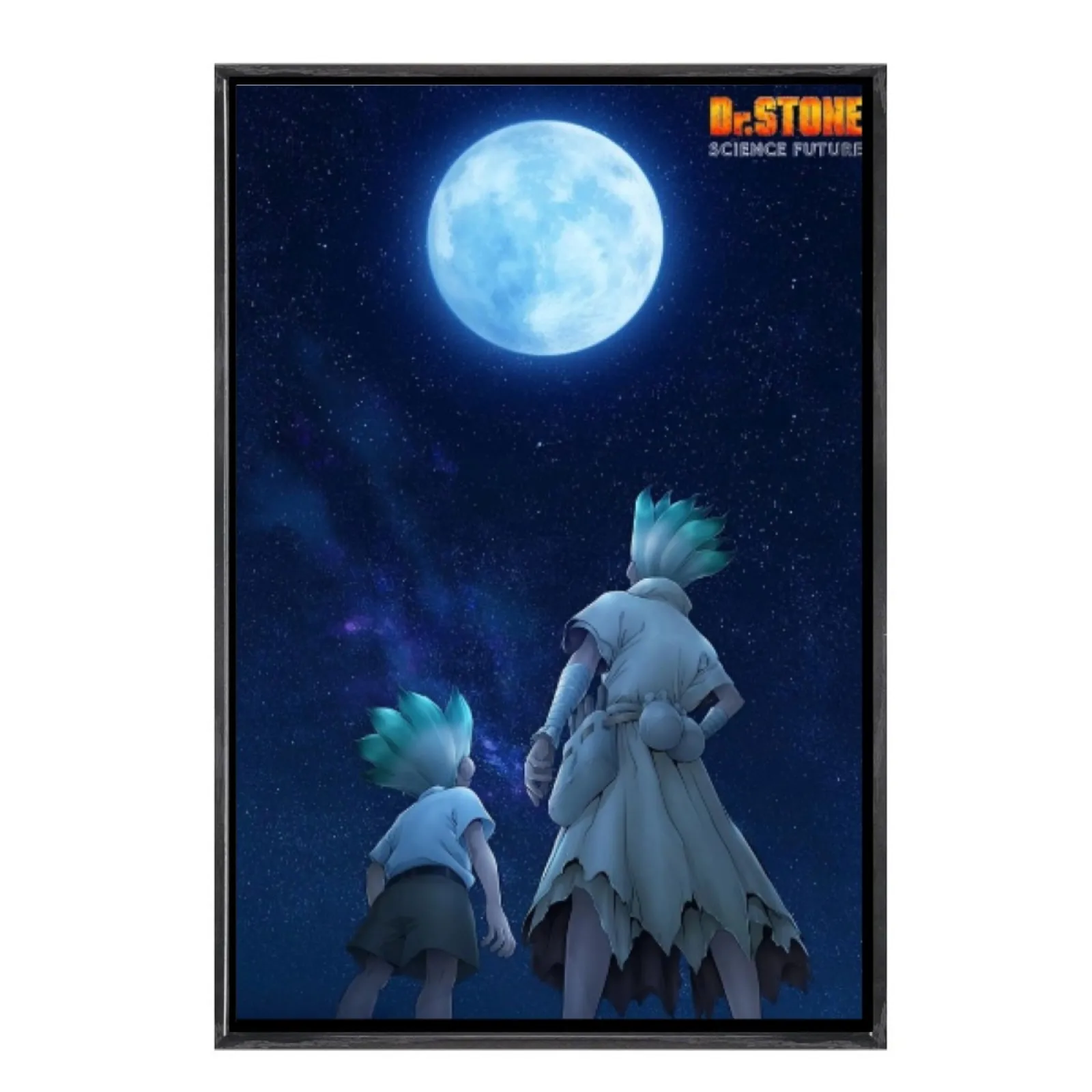 

Japanese Manga Multi-Size Canvas Poster Double Framed Wall Art,Dr Stone Home Decor for Living Room Bedroom