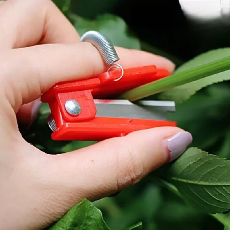 2 Pieces of Fruit Picker, Top Bud Remover, Plant Cutter, Garden Harvesting and Fruit Tree Pruning Random Color
