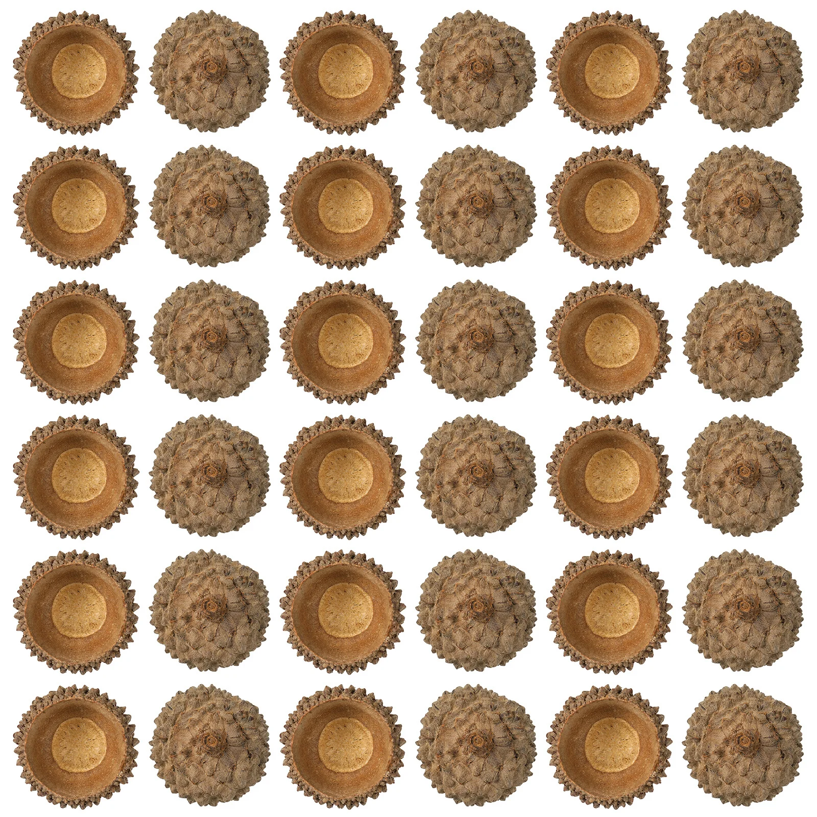 

150Pcs Bulk Acorn Caps Small Natural Dried for Autumn-Themed Photo Props DIY Craft Supplies Kitchen Table Scatter Decorative