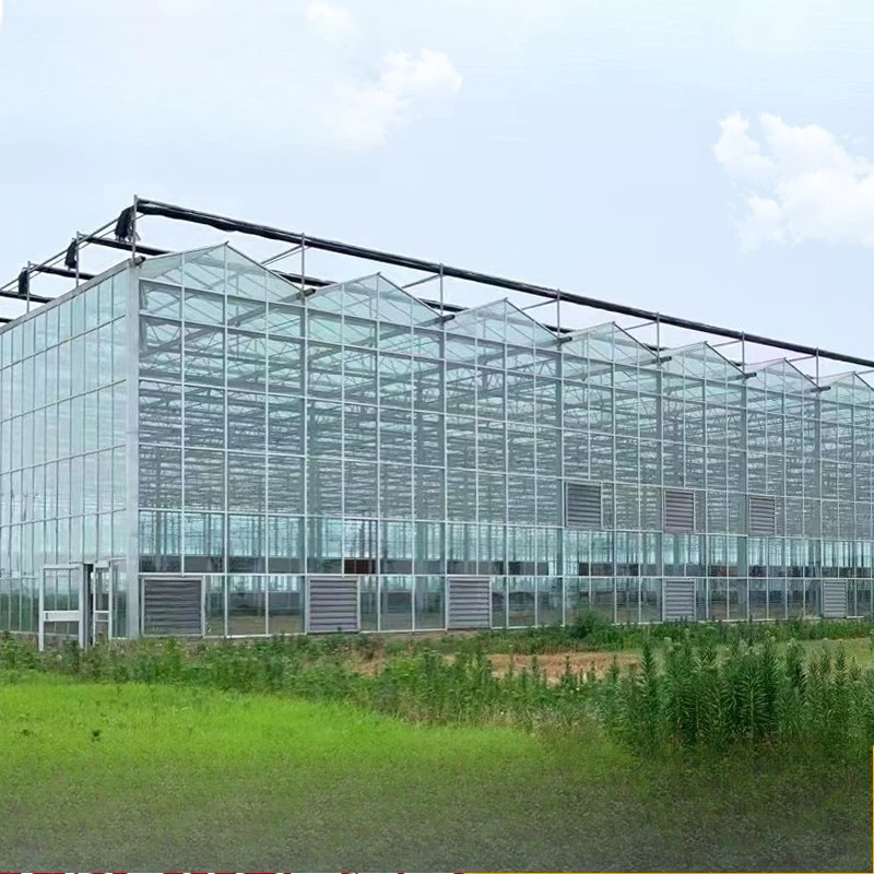 إطار دفيئة زجاجي 2025، دفيئة ذكية، دفيئة تظليل، دفيئة خضروات وزهور