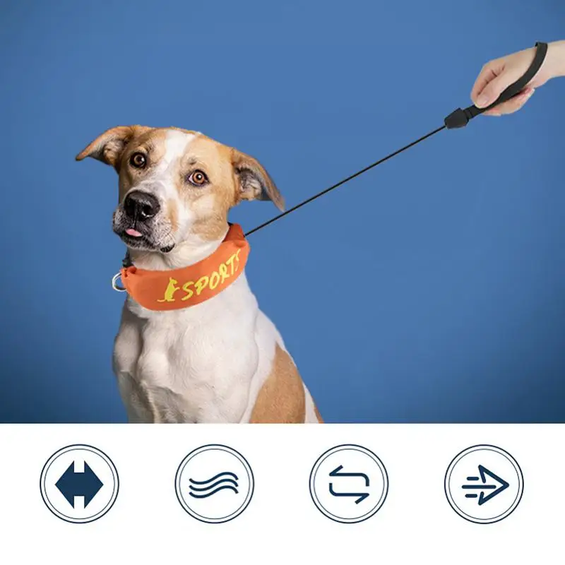 طوق بكلاب مع المقاود 2 في 1 طوق المقاود مجموعة قابل للتعديل مضغ برهان الهروب برهان تسخير للتحكم في نباح التنزه الجري