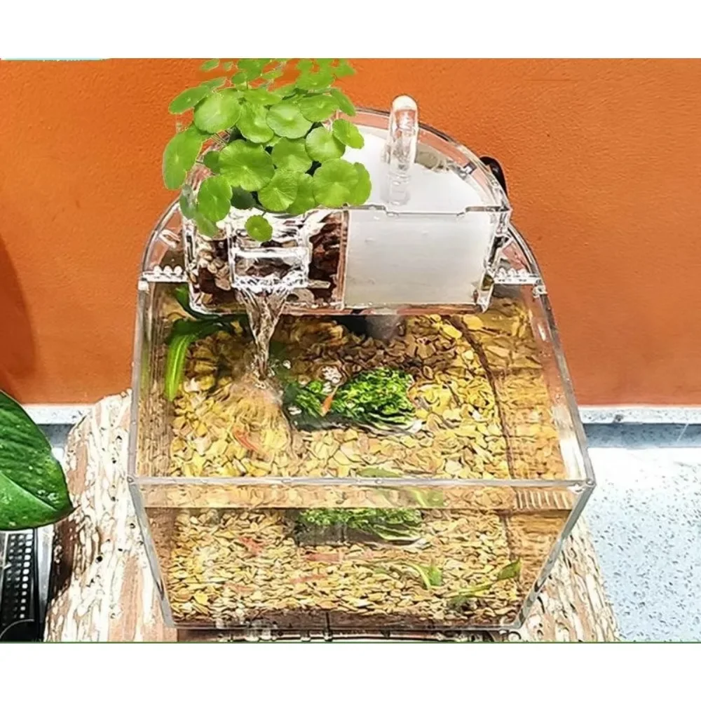 

2026 Eco-friendly Home Office Garden Decoration Small Acrylic Marine Aquarium Transparent Acrylic Fish Tank with Cabinet