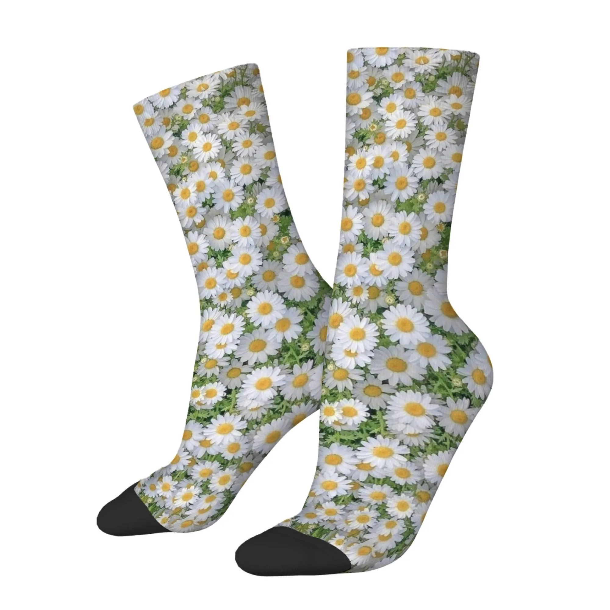 Daisy Floral Art Casual Fashion Herrensocken, neuartige, lustige Kompressionssocken, bequeme, atmungsaktive Outdoor-Radsport-Sportsocken