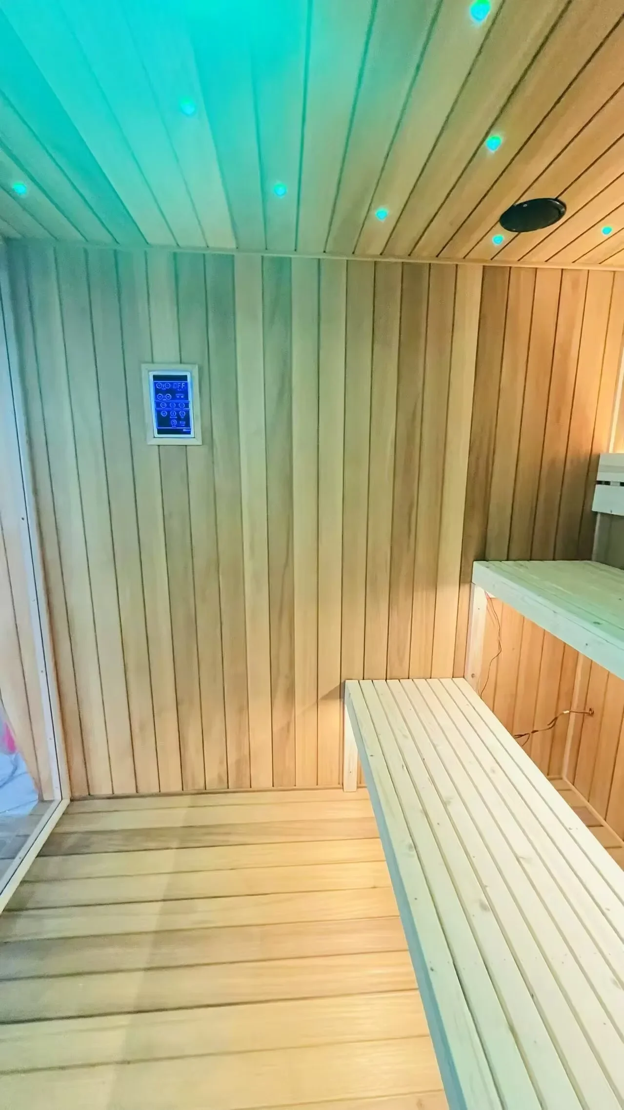 FL Outdoor Sauna House Electric Regular Sauna 4 Person Outdoor Sauna Room with Cold Bath Customized