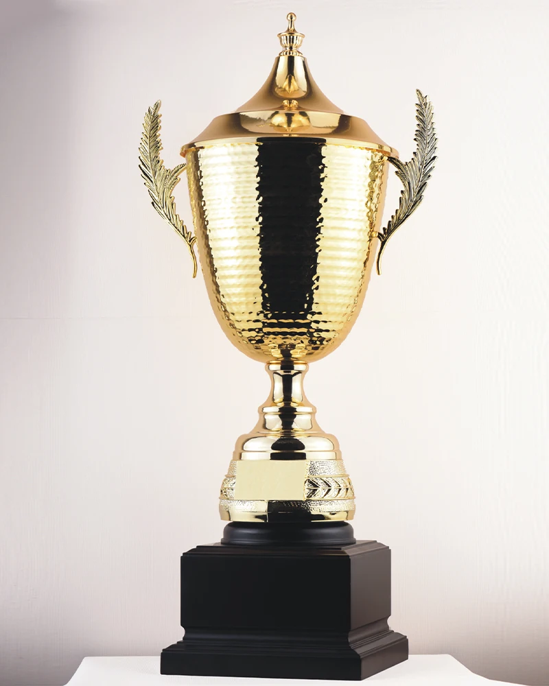 Metal Football Trophy Gold  with Handle Custom Engraving  Champion  Large Sports Awards