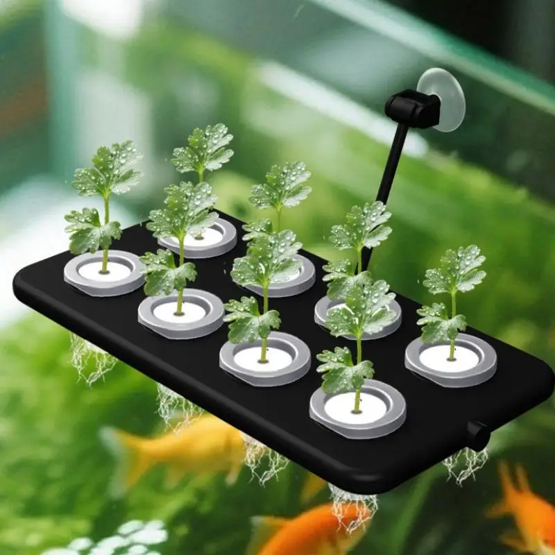 10/30/50 Sets Hydroponic Seedling Basket Kit With Square Sponges Seed Stabilization To Prevent Drifting