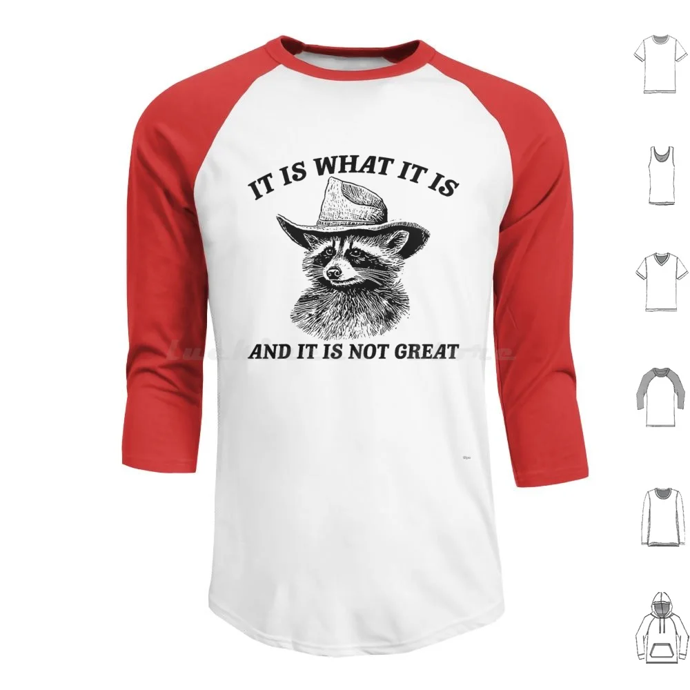 It Is What It Is And It Is Not Great Funny Raccoon Sarcastic Hoodie cotton Long Sleeve Great Funny Raccoon