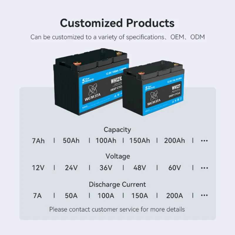 Customized 12V 24V 36V 48V Rechargeable Lifepo4 Storage Battery 50Ah 100Ah 200Ah 300Ah RV Marine Cart Lithium Battery